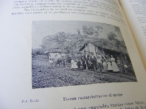 biblioteca 220 copy.jpg